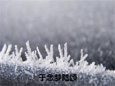 小说于念梦陆颂最新章节 于念梦陆颂无广告免费阅读