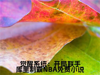 觉醒系统：开局联手库里制霸NBA免费小说- 苏浩库里全文阅读