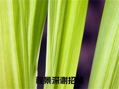 程景深谢招娣热门小说-谢招娣程景深全文阅读（完整版）