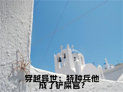 言情小说全文阅读穿越异世：特种兵他成了铲屎官？- 楚雄安东后续