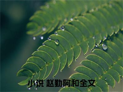  赵勤阿和小说叫什么名字（开局系统助阵，我赶海都爆桶）完整版大结局- 赵勤阿和小说在线阅读