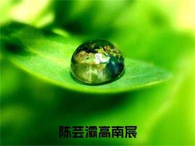 陈芸灞高南宸（高南宸陈芸灞）全文免费阅读无弹窗_ (高南宸陈芸灞)陈芸灞高南宸最新章节列表_笔趣阁（高南宸陈芸灞）