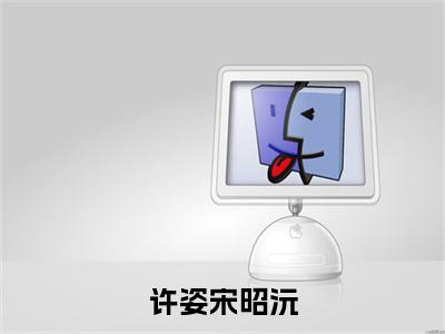 许姿宋昭沅全本资源免费阅读结局无删节-宋昭沅许姿小说全文阅读无弹窗（许姿宋昭沅）