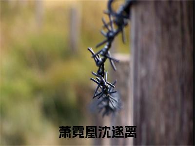 萧霓凰沈遂离全文免费阅读大结局 沈遂离萧霓凰最新章节列表