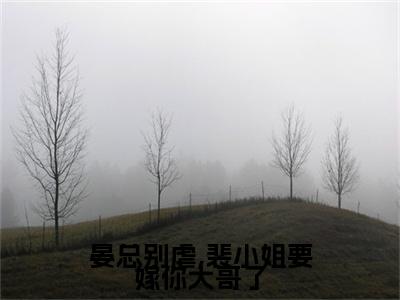 晏总别虐,裴小姐要嫁你大哥了裴知夏晏漠寒完整版全文在线赏析-裴知夏晏漠寒全文在线阅读