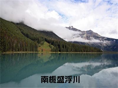 离婚吧，隐婚太太不干了！南栀盛浮川结局章试读免费阅读无弹窗，小说 南栀盛浮川大结局全文免费阅读