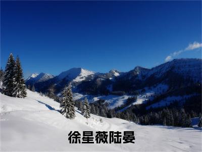 徐星薇陆晏（陆晏徐星薇小说）全文免费阅读无弹窗大结局_徐星薇陆晏最新章节列表_笔趣阁（陆晏徐星薇小说）