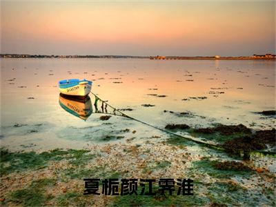 (夏栀颜江霁淮)江霁淮夏栀颜全文免费阅读无弹窗完整版_（江霁淮夏栀颜小说全文免费阅读）江霁淮夏栀颜最新章节列表笔趣阁(夏栀颜江霁淮)