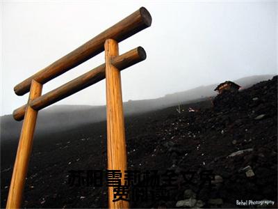  苏阳雪莉杨（全文盗墓：运气逆天，勇闯南海归墟全章节完整版）免费阅读_（ 苏阳雪莉杨）全文盗墓：运气逆天，勇闯南海归墟全文无删减免费阅读（ 苏阳雪莉杨）