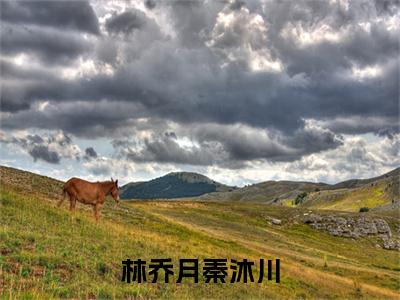 林乔月秦沐川全文免费阅读无弹窗-（秦沐川林乔月）林乔月秦沐川最新章节列表在线阅读