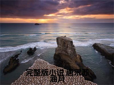  唐宋苏涵月免费小说-巅峰官途小说完整版阅读