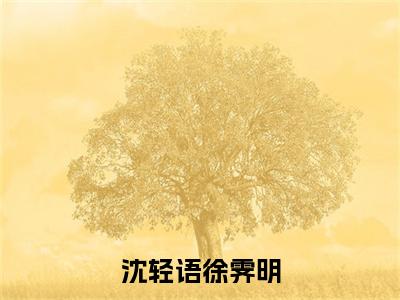 沈轻语徐霁明小说主角叫什么 徐霁明沈轻语全文免费阅读大结局