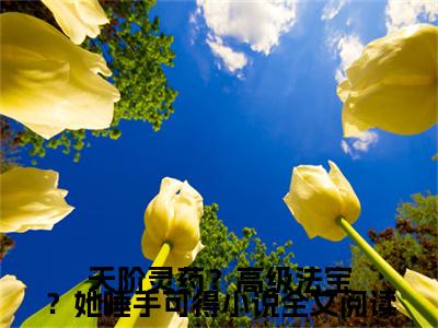 热门小说已完结 桑晚林芷安小说无弹窗大结局_ 桑晚林芷安天阶灵药？高级法宝？她唾手可得全文阅读大结局