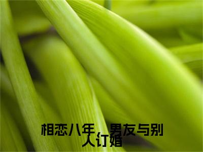 相恋八年，男友与别人订婚全文免费阅读无弹窗大结局_顾晟云陆方瑶无弹窗全文阅读