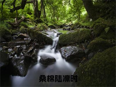 桑棉陆凛时(陆凛时桑棉)全文免费阅读无弹窗大结局_桑棉陆凛时免费阅读最新章节列表_笔趣阁（陆凛时桑棉）