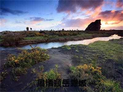 周清颖岳霖城（岳霖城周清颖）全文免费阅读无弹窗大结局_岳霖城周清颖小说最新章节列表_笔趣阁(周清颖岳霖城）