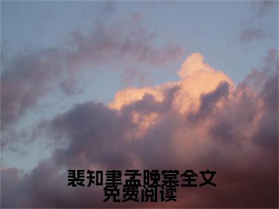  裴知聿孟晚棠全文免费阅读无弹窗大结局_( 裴知聿孟晚棠)最新章节列表笔趣阁（错撩王爷后，我带球跑了）