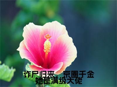 诈尸归来，京圈千金她是满级大佬（白棠梨穆砚深）小说小说全集 白棠梨穆砚深无删减在线阅读