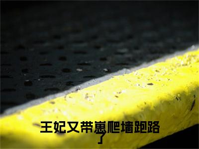 唐云瑾的小说免费阅读言情小说《王妃又带崽爬墙跑路了》全文-王妃又带崽爬墙跑路了的小说免费阅读小说无弹窗阅读