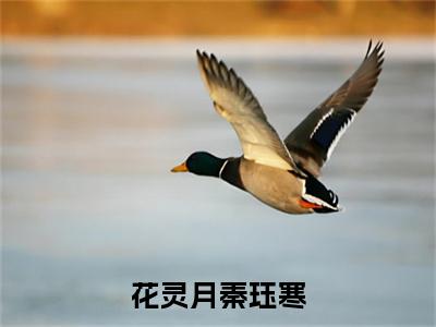 秦珏寒花灵月（花灵月秦珏寒）全文免费阅读无弹窗大结局_ 秦珏寒花灵月最新章节列表_笔趣阁