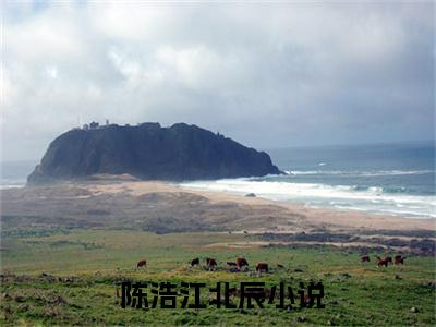 打造隐世宗门：从抢夺气运之子开始（ 陈浩江北辰）免费小说-主角 陈浩江北辰全文在线完本阅读笔趣阁