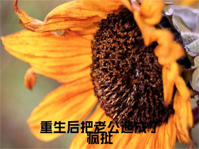 周念顾谨时（重生后把老公逼成了疯批）全文免费阅读_（重生后把老公逼成了疯批）周念顾谨时最新章节小说免费阅读_笔趣阁（重生后把老公逼成了疯批）