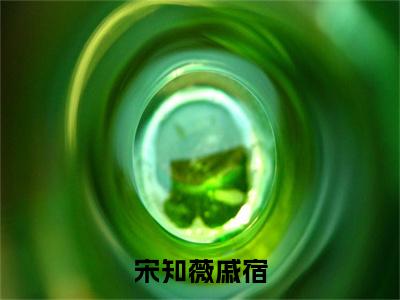 小说（宋知薇戚宿）_戚宿宋知薇全文阅读_小说宋知薇戚宿免费阅读（戚宿宋知薇）笔趣阁