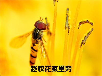  姜旭周倾月（趁校花家里穷，忽悠她当女朋友小说）全文免费阅读无弹窗大结局_（ 姜旭周倾月）趁校花家里穷，忽悠她当女朋友小说最新章节列表_笔趣阁（趁校花家里穷，忽悠她当女朋友小说）