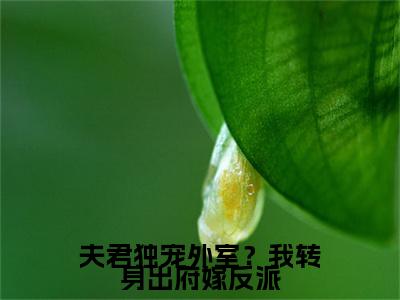 夫君独宠外室？我转身出府嫁反派（ 谢锦云梁宏裴全章节完整版）免费阅读_夫君独宠外室？我转身出府嫁反派（ 谢锦云梁宏裴）最新章节列表笔趣阁（夫君独宠外室？我转身出府嫁反派）