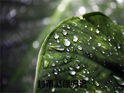 封清凝徐归远（徐归远封清凝）免费阅读最新章节无弹窗 徐归远封清凝完整版小说在线阅读