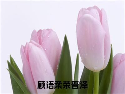 荣晋泽顾语柔小说完整版阅读-（顾语柔荣晋泽）小说全文免费阅读