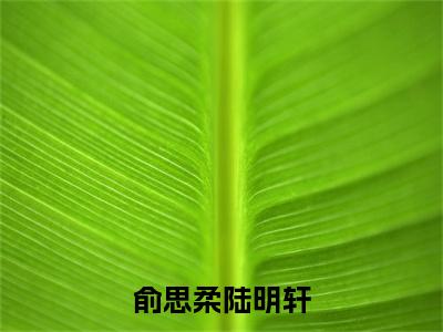 俞思柔陆明轩(陆明轩俞思柔)全文免费阅读_俞思柔陆明轩（陆明轩俞思柔在线小说免费阅读）全文阅读