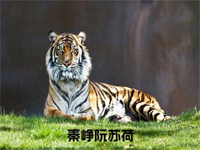 秦峥阮苏荷(阮苏荷秦峥)全文免费阅读无弹窗大结局_秦峥阮苏荷全文免费阅读最新章节列表_笔趣阁（阮苏荷秦峥）