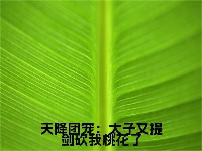 天降团宠：太子又提剑砍我桃花了小说全文（ 蒋文康蒋靖安）全文免费阅读无弹窗大结局_天降团宠：太子又提剑砍我桃花了小说全文最新章节列表_笔趣阁