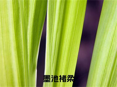 褚柔墨池（墨池褚柔）全文免费阅读-小说墨池褚柔最新章节阅读笔趣阁