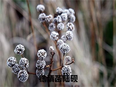 徐清菡陆砚（陆砚徐清菡）全文免费阅读无弹窗大结局_(徐清菡陆砚阅读全文大结局)陆砚徐清菡最新章节列表（陆砚徐清菡）