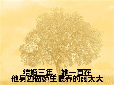 梁心慈厉律沉（结婚三年，她一直在他身边做娇生惯养的阔太太）免费小说-结婚三年，她一直在他身边做娇生惯养的阔太太（梁心慈厉律沉）最新章节完整版阅读