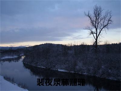 裴夜泉林澜珊小说免费阅读全文小说林澜珊裴夜泉全章节阅读