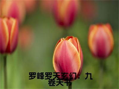 玄幻：九卷天书，诸天无敌（ 罗峰罗天）全文免费阅读无弹窗大结局_（ 罗峰罗天全文在线阅读）玄幻：九卷天书，诸天无敌最新章节列表_笔趣阁（ 罗峰罗天）