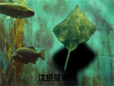 傅熠沈织星的小说免费阅读（沈织星傅熠小说免费阅读）全文免费阅读大结局-沈织星傅熠热门榜单好书推荐