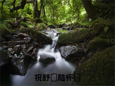 小说陆怀璟祝舒珣（祝舒珣陆怀璟小说免费阅读）完结阅读，陆怀璟祝舒珣在线阅读