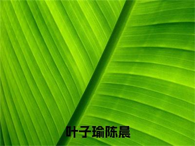 叶子瑜陈晨(陈晨叶子瑜)全文免费阅读_（陈晨叶子瑜）小说叶子瑜陈晨最新章节阅读（叶子瑜陈晨）