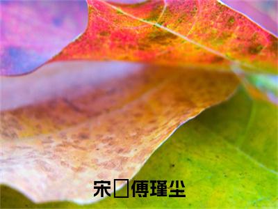 宋玥傅瑾尘(傅瑾尘宋玥)免费全文阅读小说_宋玥傅瑾尘最新章节列表-笔趣阁（傅瑾尘宋玥）