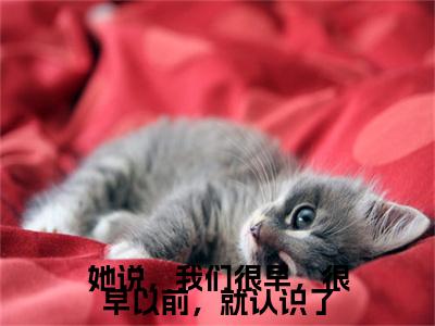 她说，我们很早，很早以前，就认识了（姜晏庭傅小小）快手热推小说主角她说，我们很早，很早以前，就认识了完整版在线阅读