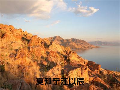 夏知宁江以辰（江以辰夏知宁全文阅读） 江以辰夏知宁新书热荐免费小说