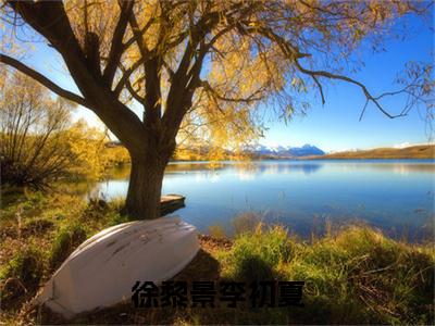 徐黎景李初夏（李初夏徐黎景）全文免费阅读大结局-李初夏徐黎景最新章节列表免费阅读大结局