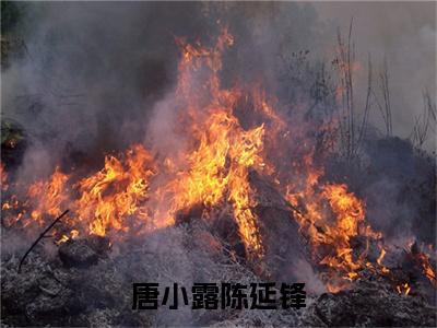 唐小露陈延锋（陈延锋唐小露）全文免费阅读无弹窗_（陈延锋唐小露的小说全文免费阅读）唐小露陈延锋小说最新章节列表无删减_笔趣阁