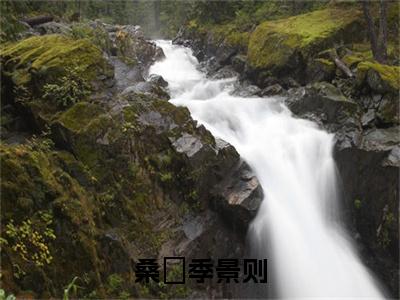 季景则桑濛(桑濛季景则)全文免费阅读_桑濛季景则(季景则桑濛)全文阅读_笔趣阁（桑濛季景则）