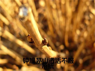 激活不服系统，一言不合就发我奖励（ 钟旭茅山）全文免费阅读无弹窗大结局_激活不服系统，一言不合就发我奖励最新章节列表-笔趣阁 钟旭茅山