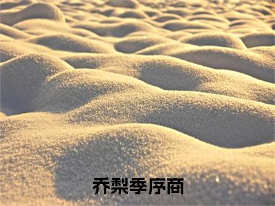 小说名字是：乔梨季序商小说免费阅读无弹窗,小说名字是：季序商乔梨的小说在线阅读无删减